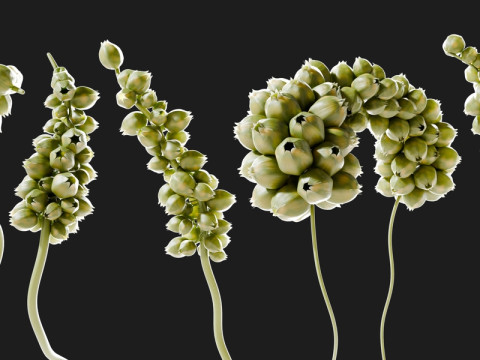 Fictional Plant 3D Модель