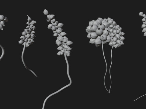 Fictional Plant 3D Модель
