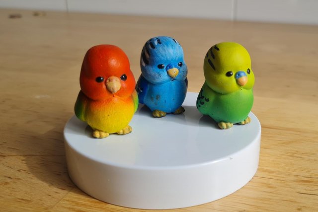 Parakeet and cat 3D 打印模型 .c4d .max .obj .3ds .fbx .stl .blend