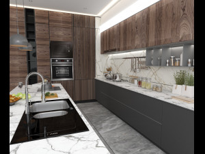 Professional kitchen design 3D Model