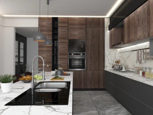 Professional kitchen design 3D Model