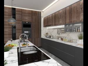 Professional kitchen design 3D 模型