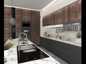 Professional kitchen design 3D Model