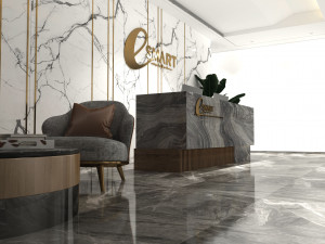 Professional Company reception design 3d Modelo 3D