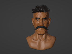 Portrait for print 3D 模型