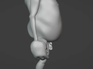 FROG 3D 3D Model