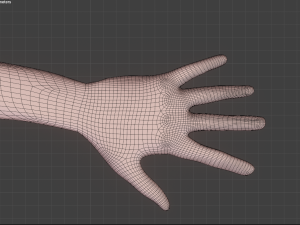The girl 3D Model