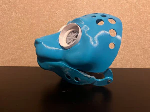 Fursuit Cat Head Base 3D Print Model