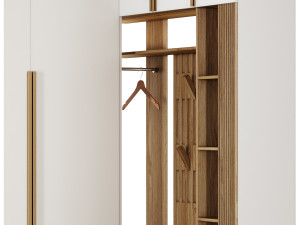 Corner closet for the hallway Modelo 3D