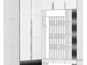 Corner closet for the hallway Modelo 3D
