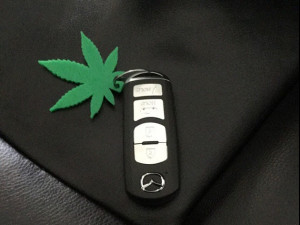 Keychain Leaf 3Dモデル