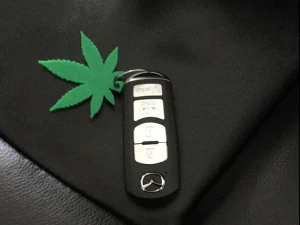 Keychain Leaf 3D Model