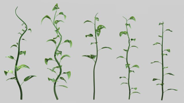 Plants Collection 01 Fairy 3D Model .c4d .max .obj .3ds .fbx .stl .blend