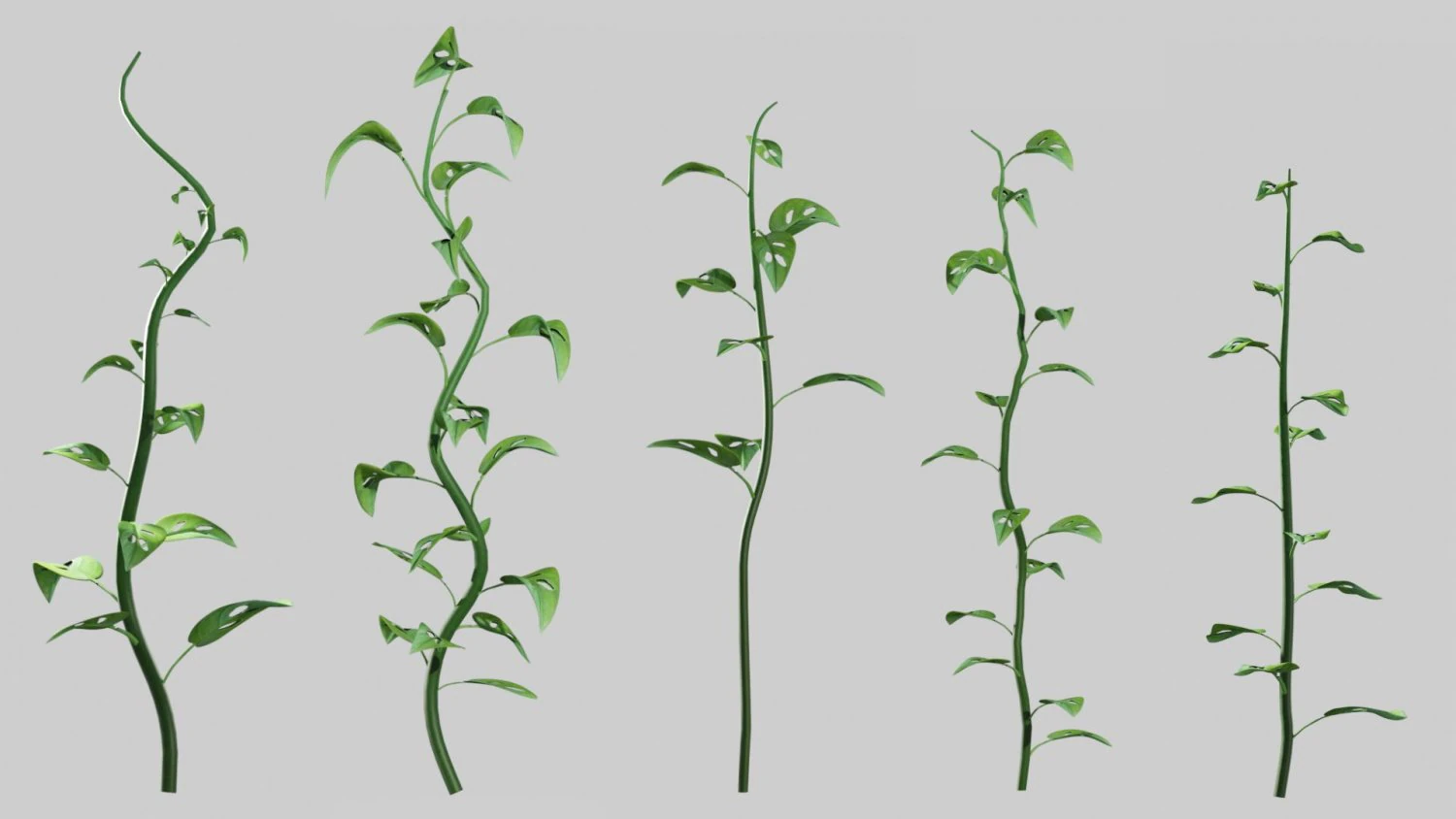 Plants Collection 01 Fairy 3D Model .c4d .max .obj .3ds .fbx .stl .blend 