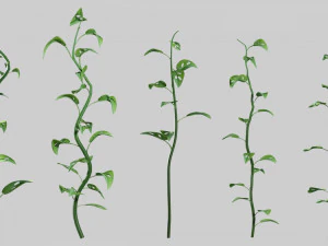 Coleção de Plantas 01 Fada Modelo 3D