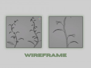 Plants Collection 01 Fairy 3D Model