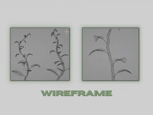 Plants Collection 01 Fairy 3D Model