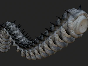 Worm 3D Model