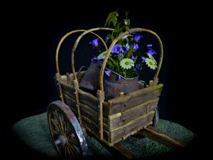 Carrello con fiori Modello 3D