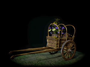 Cart with flowers 3D Model