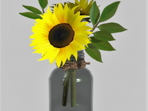 Sunflower in a jar 3D Model