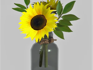 Girasole in barattolo Modello 3D