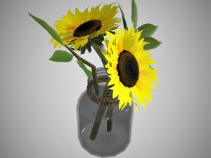 Sunflower in a jar 3D Model