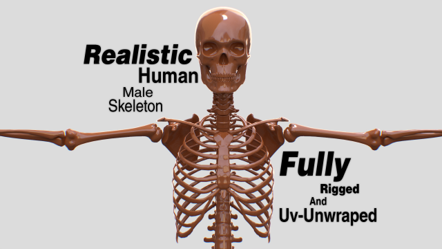 Realistic Human Male Skeleton 3D मॉडल .c4d .max .obj .3ds .fbx .stl .blend 