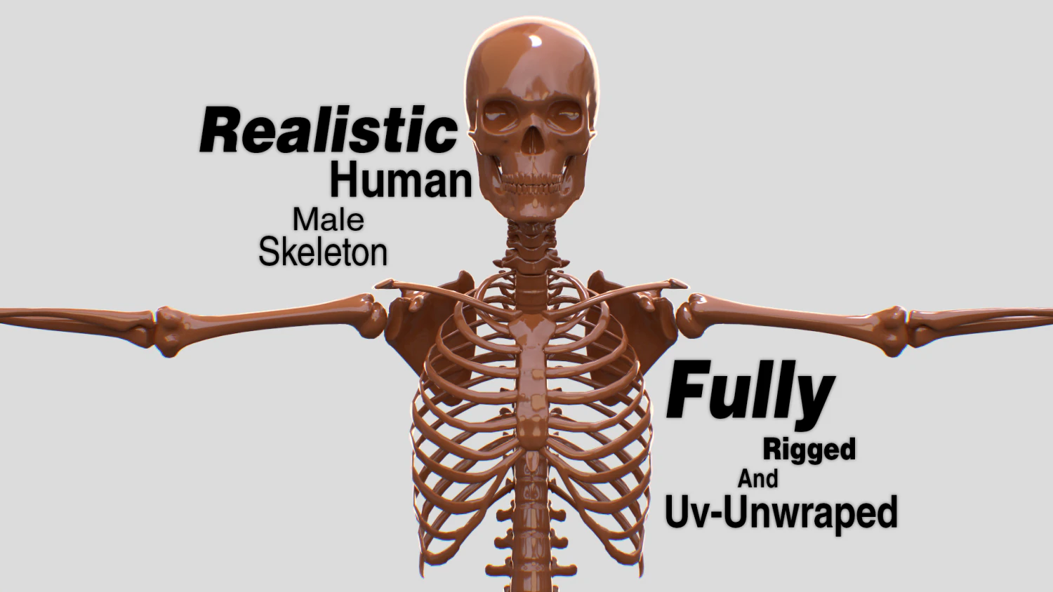 Realistic Human Male Skeleton 3D Model .c4d .max .obj .3ds .fbx .stl .blend 