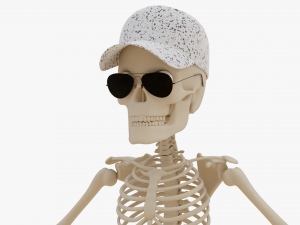 Cartoon Skeleton 3D Realistic 3D Model