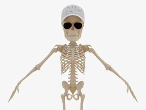 Cartoon Skeleton 3D Realistic 3D Model