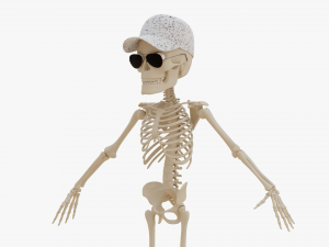 Cartoon Skeleton 3D Realistic 3D Model
