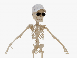 Cartoon Skeleton 3D Realistic 3D Model