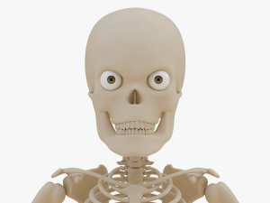 Cartoon Skeleton 3D Realistic 3D Model