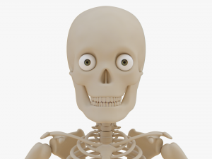 Cartoon Skeleton 3D Realistic 3D Model