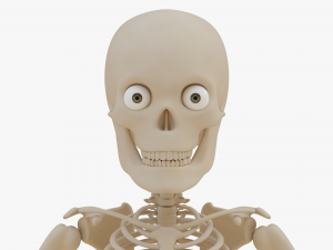 Cartoon Skeleton 3D Realistic 3D Model