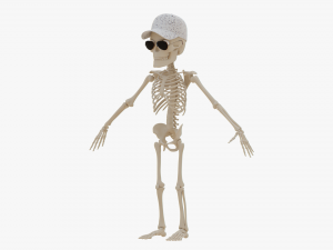 Cartoon Skeleton 3D Realistic 3D Model
