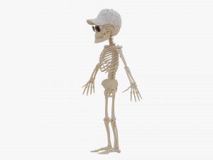 Cartoon Skeleton 3D Realistic 3D Model