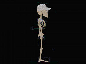 Cartoon Skeleton 3D Realistic 3D Model