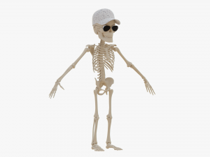 Cartoon Skeleton 3D Realistic 3D Model
