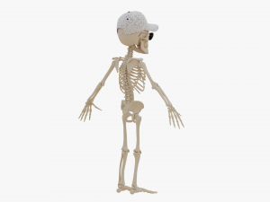Cartoon Skeleton 3D Realistic 3D Model