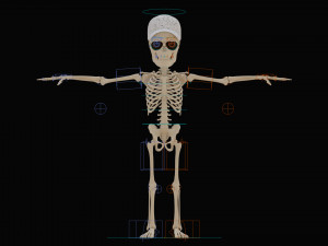 Cartoon Skeleton 3D Realistic 3D Model
