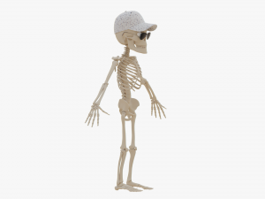 Cartoon Skeleton 3D Realistic 3D Model
