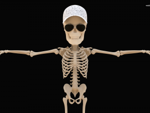 Cartoon Skeleton 3D Realistic 3D Model