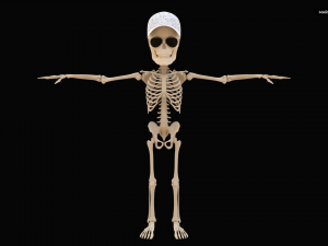 Cartoon Skeleton 3D Realistic 3D Model