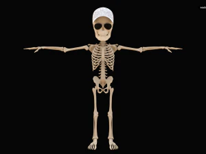 Cartoon Skeleton 3D Realistic 3D Model
