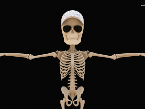 Cartoon Skeleton 3D Realistic 3D Model