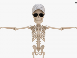 Cartoon Skeleton 3D Realistic 3D Model