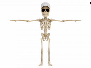Cartoon Skeleton 3D Realistic 3D Model