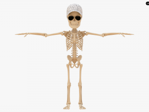 Cartoon Skeleton 3D Realistic 3D Model